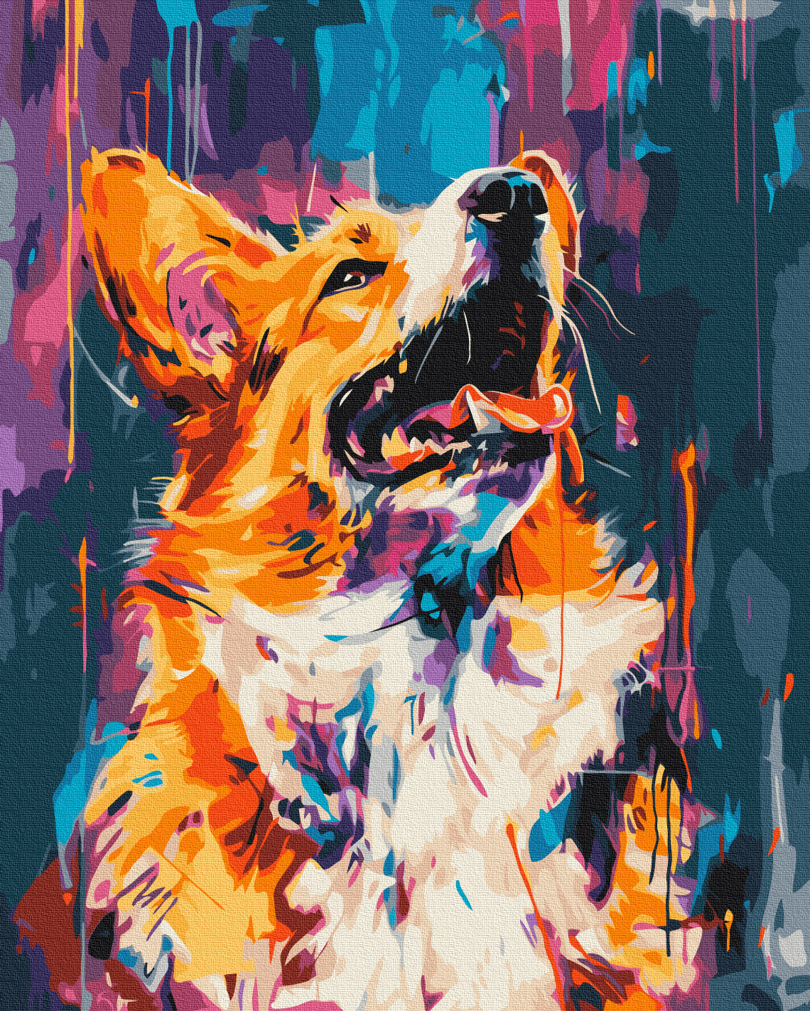 Colourful corgi