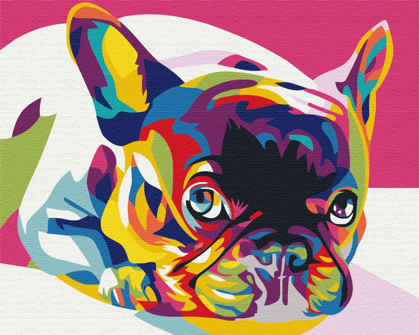 Rainbow french bulldog