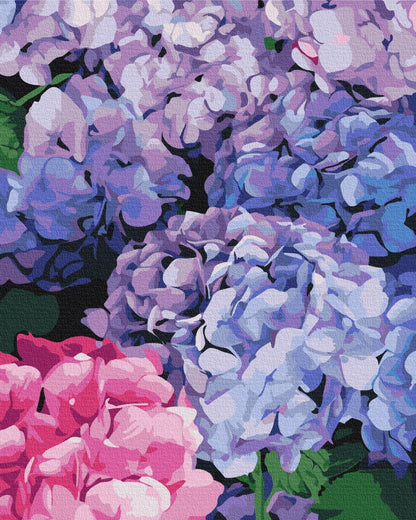 Bright hydrangea