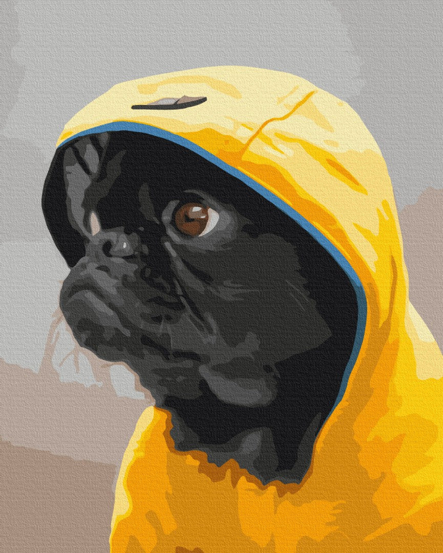 Pug in hood