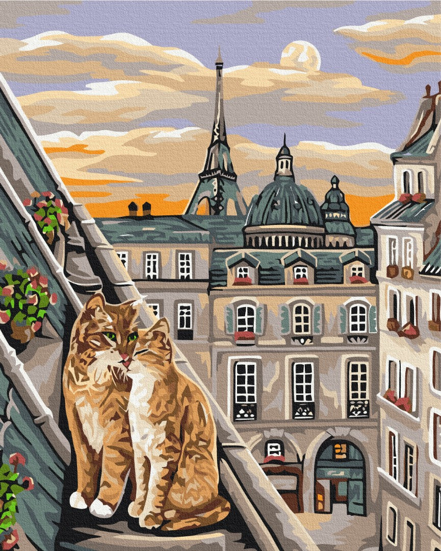 Cat tenderness in Paris