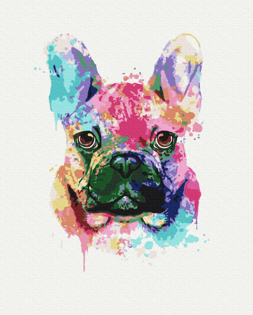 Colorful bulldog