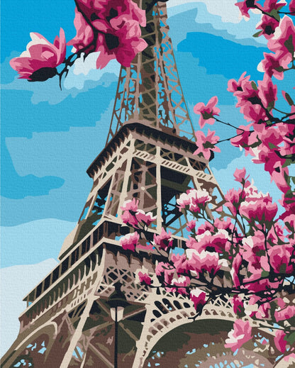 Magnolia Blossom in Paris