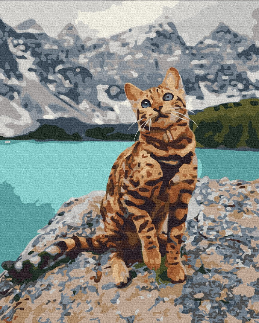 Pet in the mountains