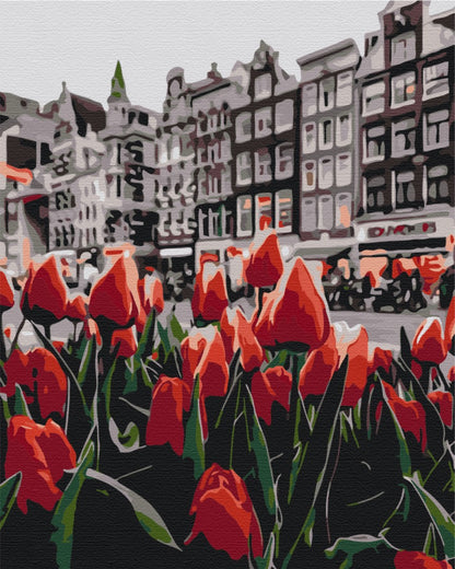 Tulips Amsterdam