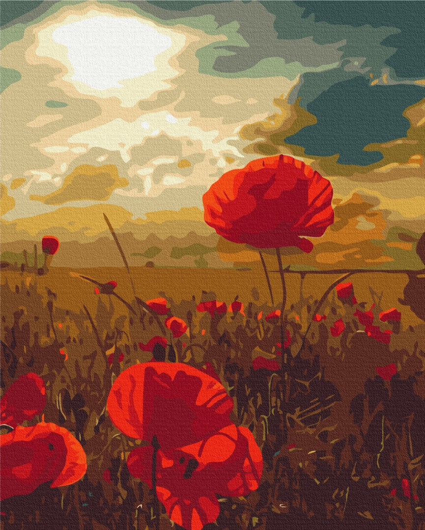 Poppies under the scorching sun