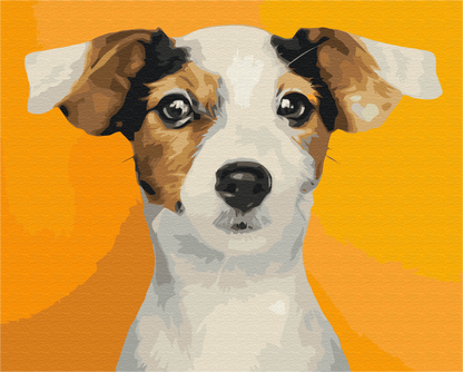 Portrait of a beloved dog