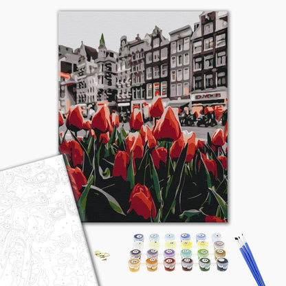 Tulips Amsterdam