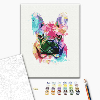 Colorful bulldog