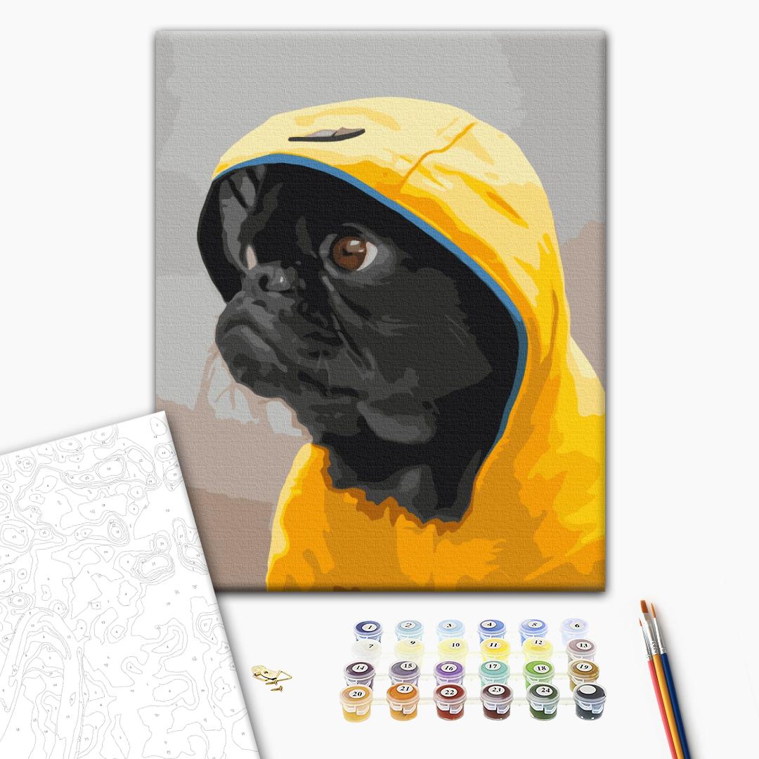 Pug in hood