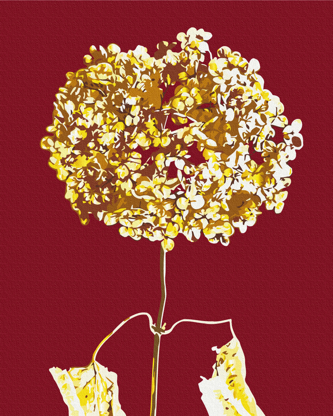 Golden hydrangea © Halyna Vitiuk