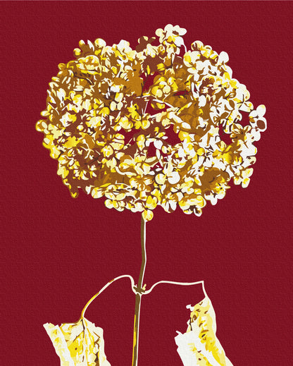 Golden hydrangea © Halyna Vitiuk