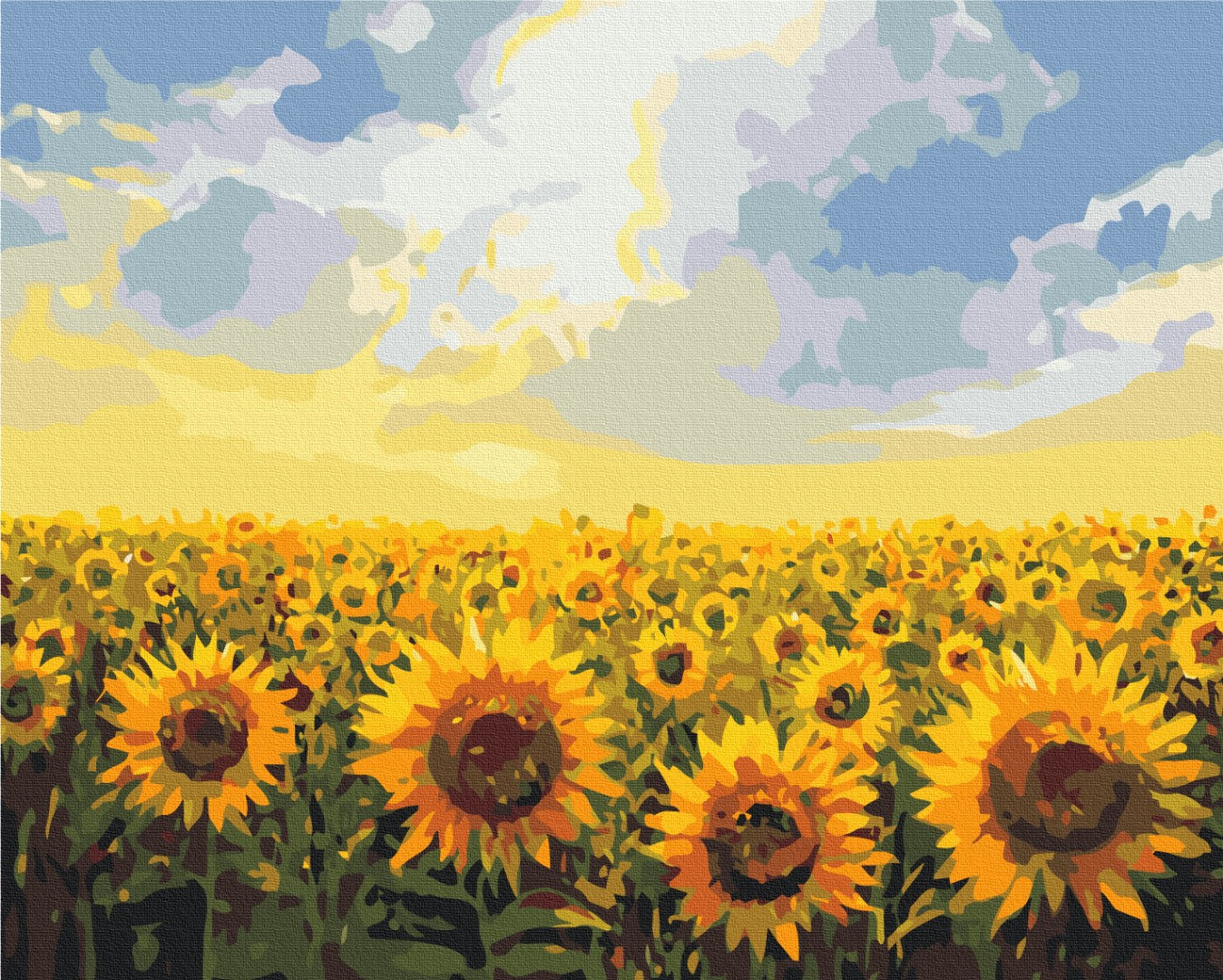 Sunflower field