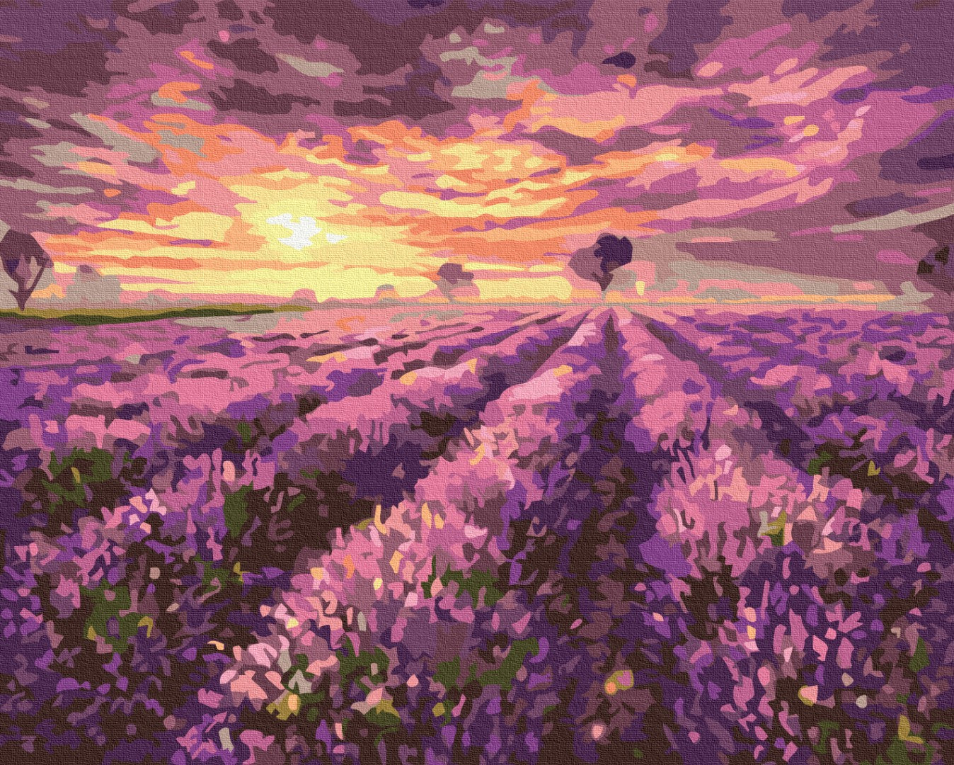 Lavender sunset