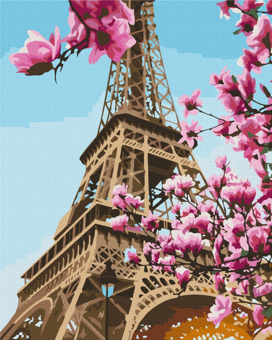 Sakura in Paris