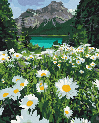 Daisies by the mountains